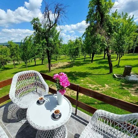 Villa Vikendica Gaj à Gornji Milanovac Extérieur photo