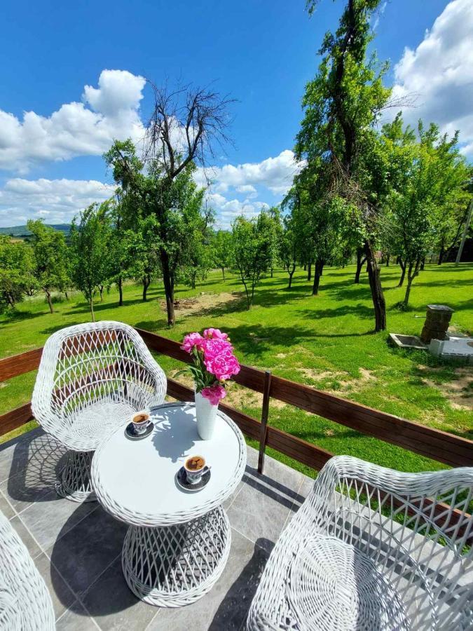 Villa Vikendica Gaj à Gornji Milanovac Extérieur photo