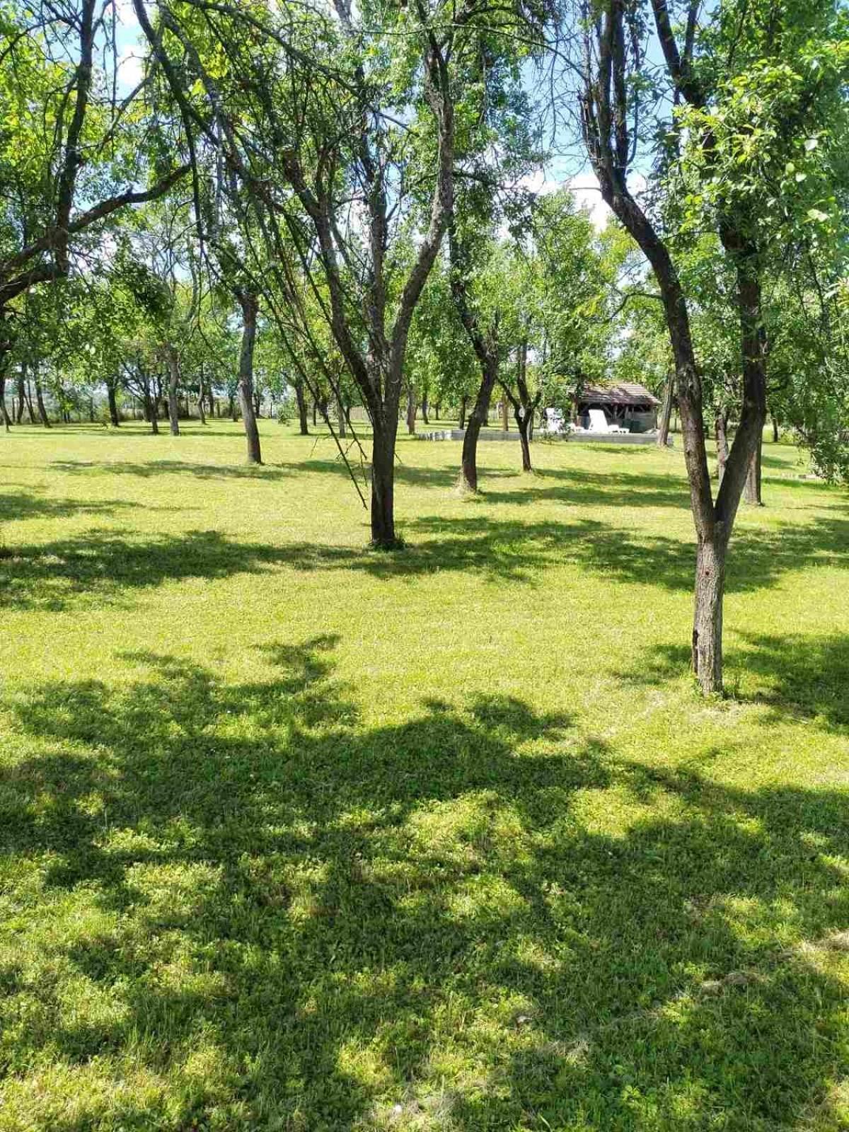 Villa Vikendica Gaj à Gornji Milanovac Extérieur photo